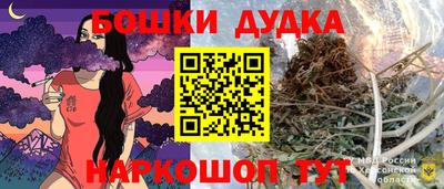 СК Гатчина