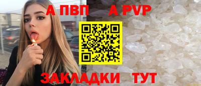 СК Гатчина