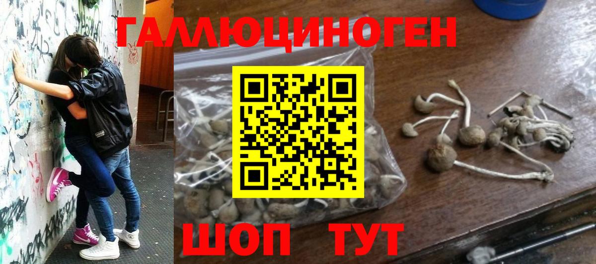 Псилоцибиновые грибы ЛСД Ногинск