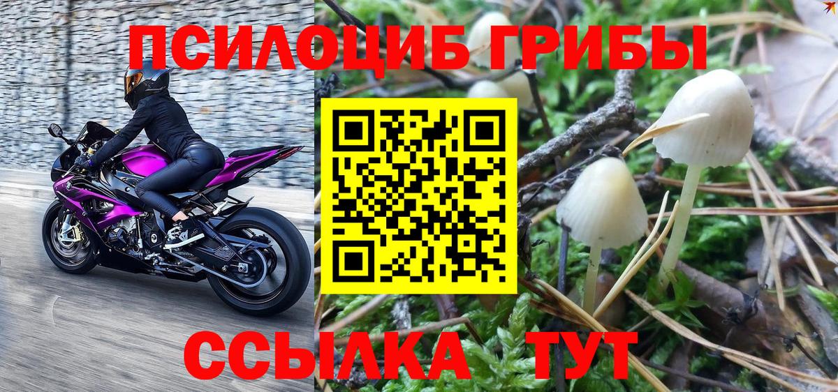 Галлюциногенные грибы GOLDEN TEACHER  Вход с VPN  наркошоп  Ногинск 